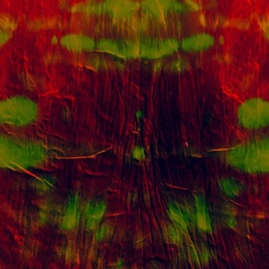 Batik Tekrarı suluboya. Burgundy Çiçek deseni. 