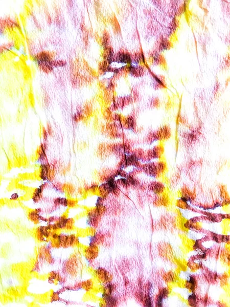 실제 레오 파드 프린트입니다. 호랑이 브루 쉬 뇌졸중 — 스톡 사진