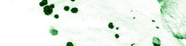 여름 식물학 개론. 녹색 워터 컬러 — 스톡 사진