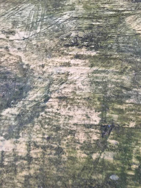 Μοτίβο υφής φλοιού. Γραμμωτό αφηρημένο δέντρο — Φωτογραφία Αρχείου