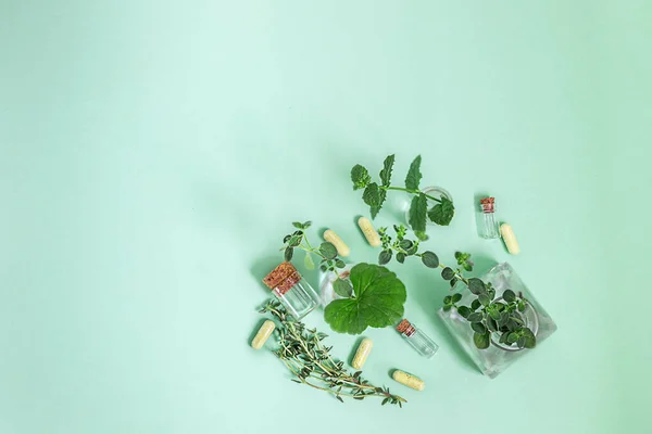 Medical flowers herbs essential oils in bottles for natural diseases treatment on wooden table. Concept of natural cosmetics. Space for text. — Stock Image Medical Flowers Herbs Essential Oils Bottles Natural Diseases Treatment Wooden Royalty Free Stock Images