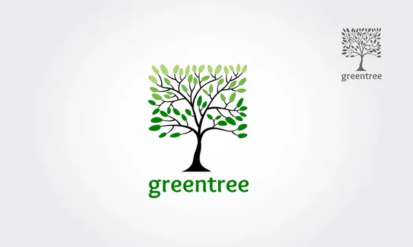 Σχεδιασμός Λογότυπου Πράσινο Δέντρο Τετράγωνο Διάνυσμα Διάνυσμα Εικονιδίου Αφηρημένου Δέντρου — Διανυσματικό Αρχείο