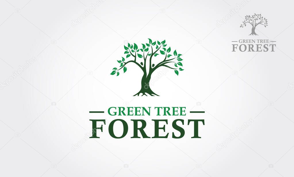 Green Tree Forest Vector Logo Template. This is a tree logo, it's good for symbolize of grow, human care, ecological, environment, protection, association, and others.