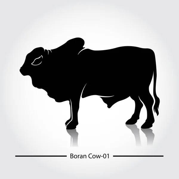 Boran Cow Silhouette Vector Template Diese Silhouette Eignet Sich Für — Stockvektor