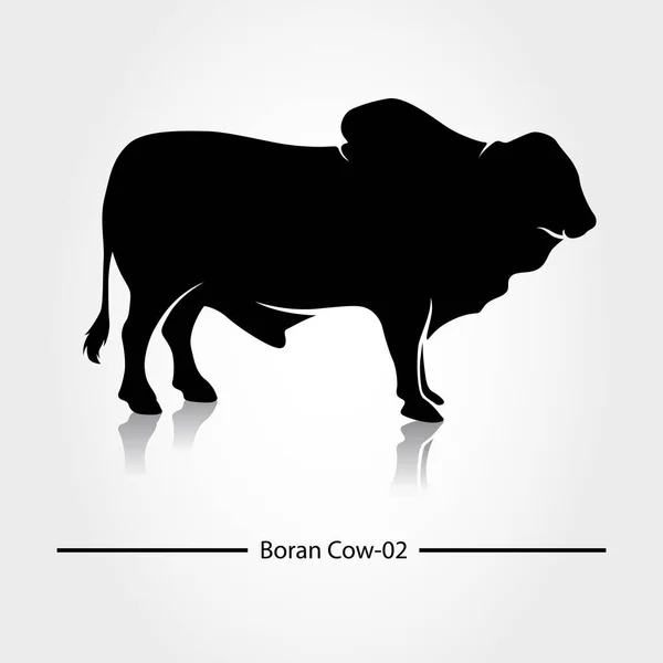 Boran Cow Mit Schwarzem Schatten Und Leer Diese Silhouette Eignet — Stockvektor