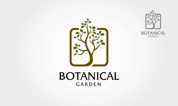 Ілюстрація Логотипу Ботанічного Саду Логотип Ілюструє Коріння Дерева Єднаний Квадратним — стоковий вектор