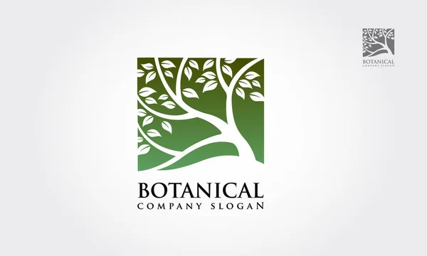 Botanik Vektör Logosu Çizimi. Yeşil ağaç logosu şablonu. Beyaz arka planda temiz ve modern tarz. Yeşil ağaç kare vektör logosu tasarımı