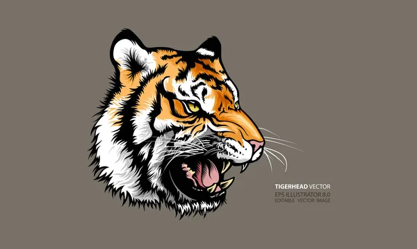 Tiger Head Vektör İllüstrasyonu. Vektör şablonu maskotu.