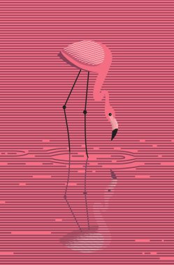 Zarif pembe flamingo su bir günbatımı pembe, vektör, minimalist görüntü üzerinde duruyor