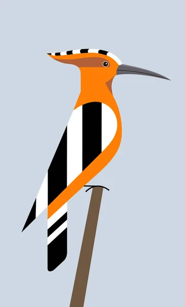 Hoopoe is sitting — Stock Vector