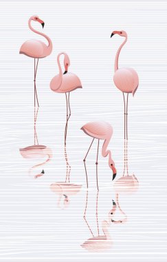Su, minimalist görüntü flamingolar sürü