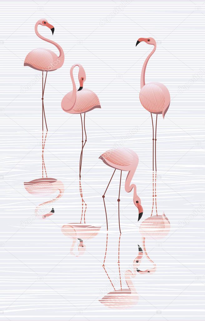 Flock of flamingos in the water, minimalistic image