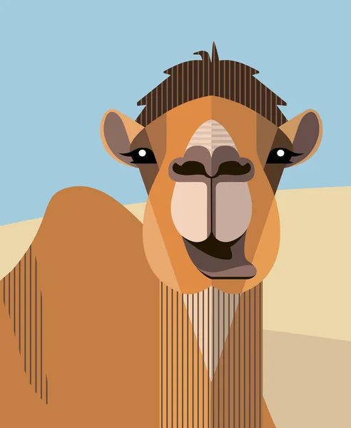 Cabeza Camello Sobre Fondo Dunas Arena — Vector de stock