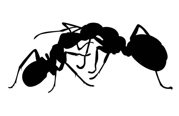 Silhouette Von Zwei Ameisen Auf Weißem Hintergrund — Stockvektor