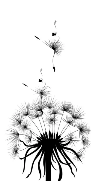 Metáforas da natureza, dente-de-leão —  Vetores de Stock