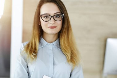 Güneşli ofiste iş kadını vesikalığı. Bilinmeyen iş kadını tablet bilgisayarla ayakta duruyor. Genç muhasebeci ya da sekreter iyi görünüyor.
