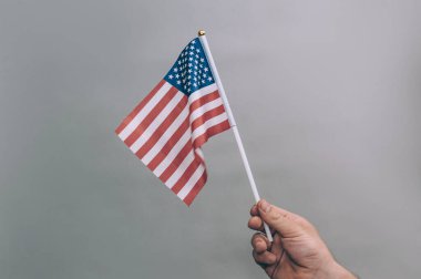 Adam elinde Amerika Birleşik Devletleri bayrağını tutuyor.