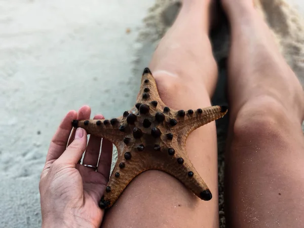 Girl Carries Starfish Back Water Her Hand — Stock Photo, Image