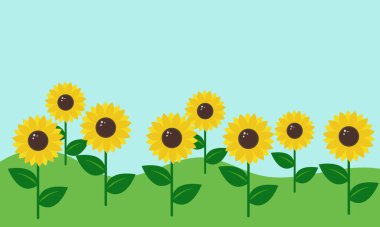 ayçiçeği vektör illüstrasyonu