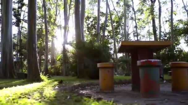 Kamerafahrt Mit Linsenraketen Maquilishuat Park Salvador Mittelamerika — Stockvideo