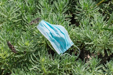 Plaj bitkilerinde tıbbi maske kullanılmış. Çevre kirliliği kavramı