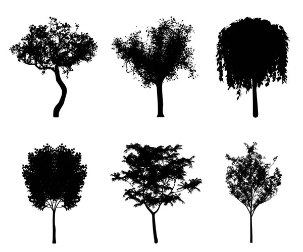 Vector silhouettes of trees for the background and architectural — Stock Vector