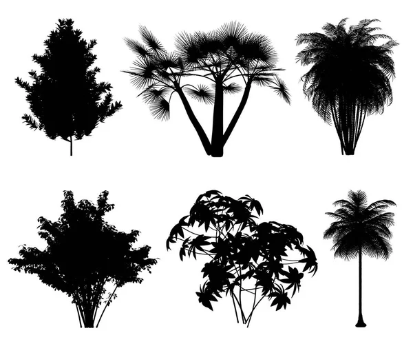 Siluetas vectoriales de árboles tropicales y arbustos para fondos — Vector de stock