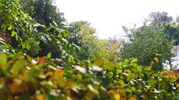 Panorama del paisaje de la finca con una pequeña casa para el sirviente — Vídeo de stock