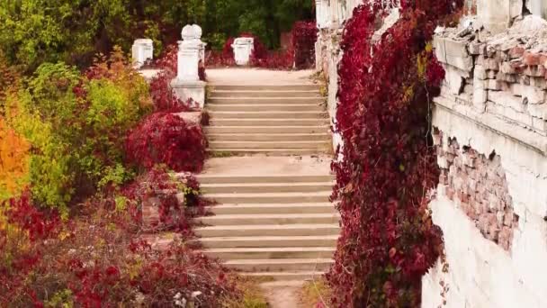 Vídeo de la escalera central de un antiguo castillo del siglo XVIII — Vídeo de stock