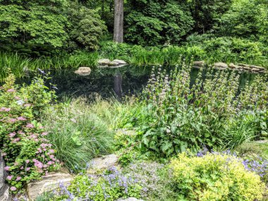 New York Botanik Bahçeleri 'nde bulunan Rock Garden' daki gölet.