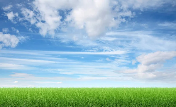 Зеленая Трава Голубое Небо Рендеринг — стоковое фото