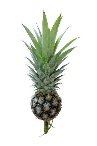 Ananas Izolované Bílém Pozadí Výstřižkem Cesta — Stock fotografie