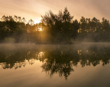Ağaçların arasından yükselen güneş ve suyun üzerindeki sis..
