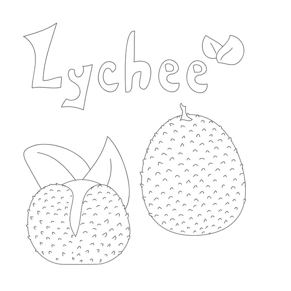 Ilustração Lychee Coloração Frutas Para Impressão Doodle Estilo Esboço Arte — Vetor de Stock