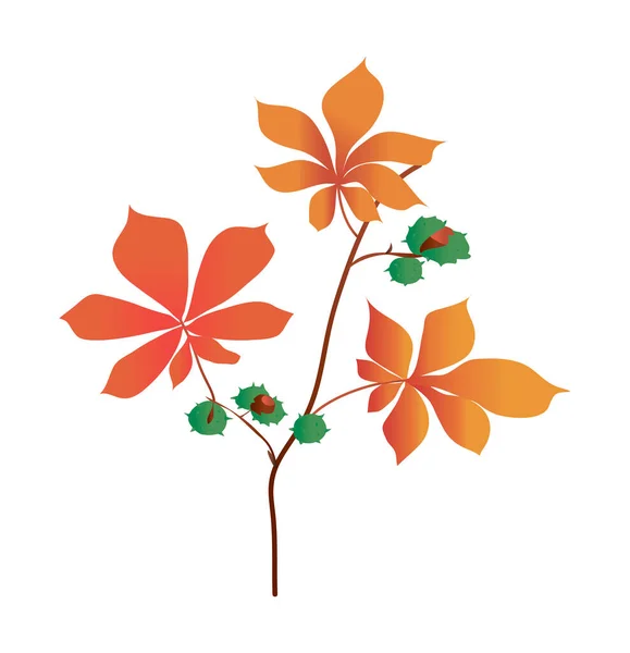 Kestane rengi dallar. Sonbahar yaprakları. Doku eğriliği. Vektör. Baskı ve kartpostallar için detaylar. Kestane yaprağı ve fındık