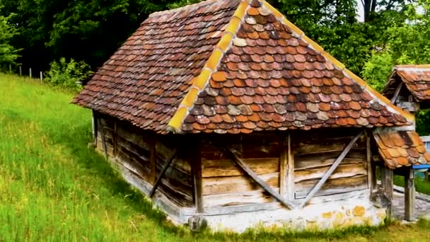位于草地上的自然环境中的传统乡村风格的老式木制房屋 — 图库视频影像