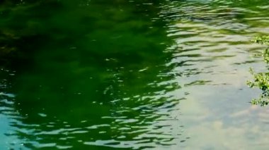 Büyük dağ nehri kristal yeşili suyla bahar günü huzurlu ve düz arazide akıyor..