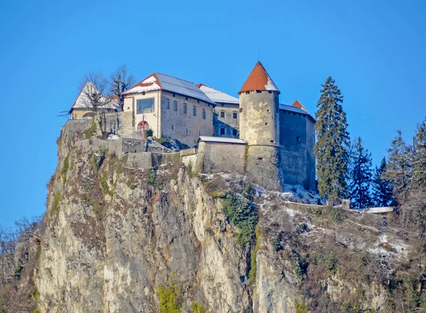 Bled Slovénie Janvier 2017 Vue Panoramique Sur Rocher Avec Château — Photo