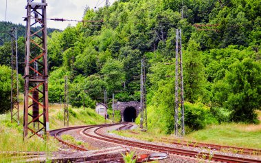Eski taş tuğlalara açılan bir giriş demiryolu tünelini yeşillik ve ormanla çevreledi..