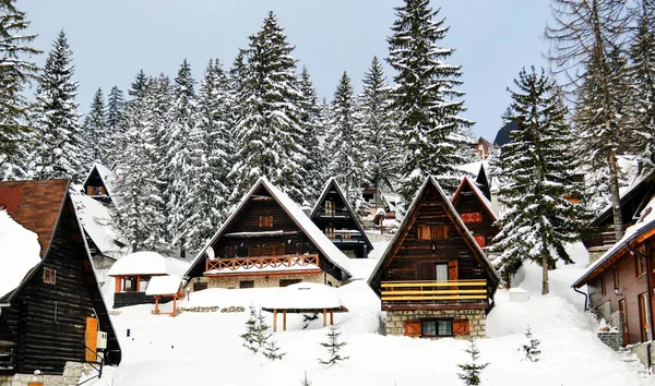 Winter Idyll Wooden Houses Covered Snow Surrounded Pine Trees — Stock Photo, Image