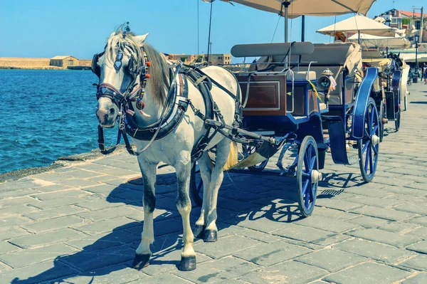 Chania Grécia Agosto 2016 Cavalo Carruagem Chania Creta Grécia — Fotografia de Stock