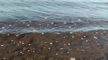 Yaz sabahı sakin Akdeniz.