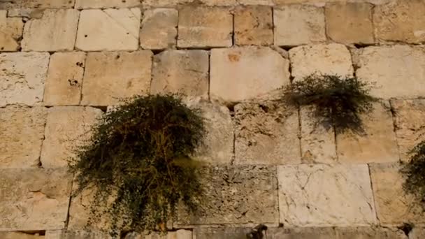 Klaagmuur Fragment Een Heilige Joodse Plaats Jeruzalem Israël — Stockvideo