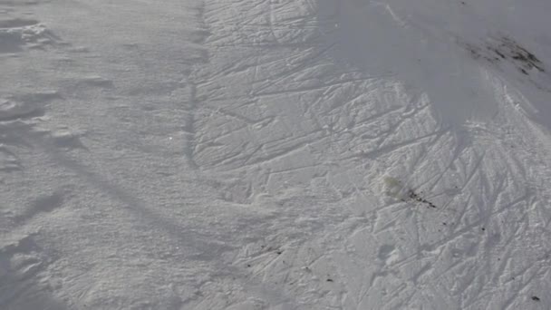 雪に覆われた丘の上には嵐と冷たい風が吹いており オーストリアの人気スキーリゾートNassfeld Austriaの海の上約2000メートルにあります — ストック動画