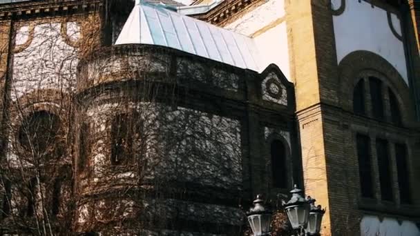 Novi Sad Sérvia Março 2019 Sinagoga Judaica Atrás Das Esposas — Vídeo de Stock