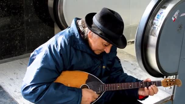 Novi Sad Serbien März 2019 Ein Straßenmusiker Spielt Der Innenstadt — Stockvideo