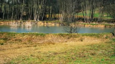 Baharın ilk günlerinde, orman ve çayır ile çevrili küçük balık havuzu..