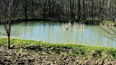 Baharın ilk günlerinde, orman ve çayır ile çevrili küçük balık havuzu..