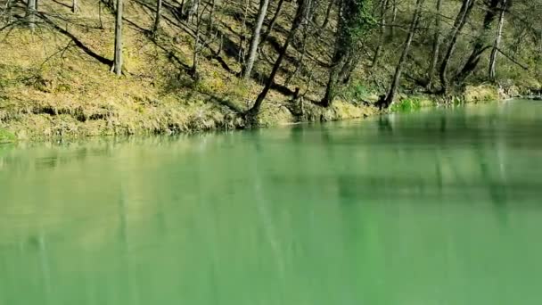 Doğayla Çevrili Akıllı Yeşil Nehir Güneşli Bahar Gününde Sakince Akar — Stok video