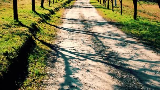 晴れた春の日に空の田舎道の地平線の端を歩く孤独な女性 — ストック動画